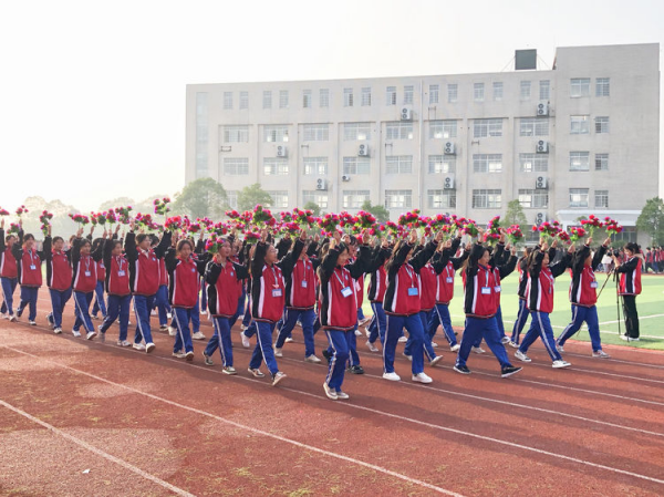 常德德才科技職業(yè)學校,常德招生就業(yè),電子商務專業(yè)學校,專業(yè)學校報考哪里好