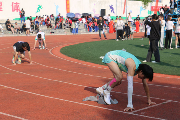 常德德才科技職業(yè)學校,常德招生就業(yè),電子商務專業(yè)學校,專業(yè)學校報考哪里好