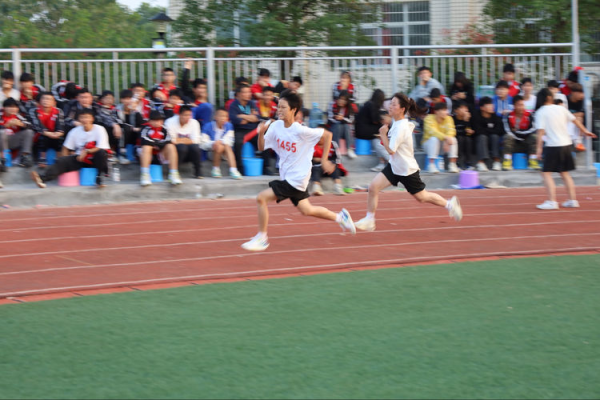 常德德才科技職業(yè)學校,常德招生就業(yè),電子商務專業(yè)學校,專業(yè)學校報考哪里好